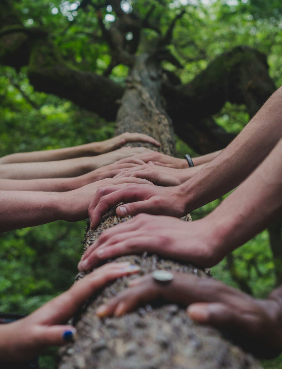 https://syimpact.in/wp-content/uploads/2026/06/shane-rounce-DNkoNXQti3c-unsplash-1-980x1280.jpg